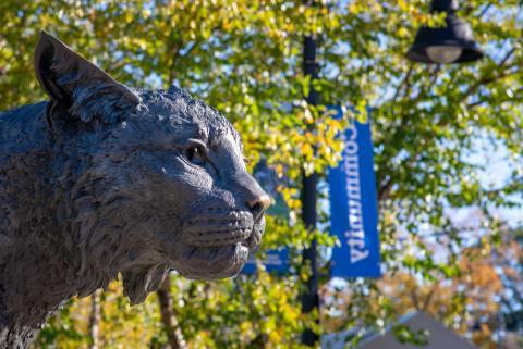 Wildcat statue on UNH Campus